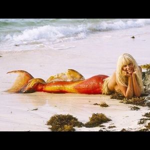 Meet your Posher, Kar